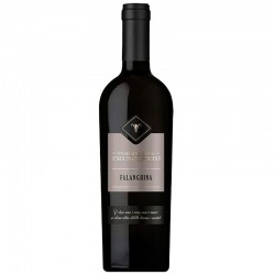 FALANGHINA IGT CAMPANIA...