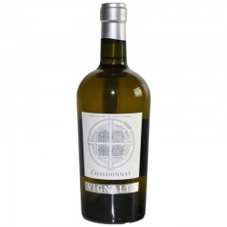 VINO CHARDONNAY  IGT...