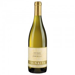 VINO PINOT BIANCO DOC BIO...