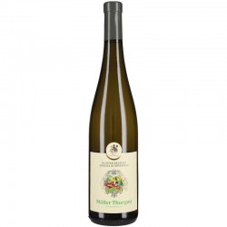 VINO MULLER THURGAU...