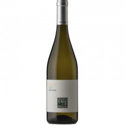 Malvasia DOC Collio PIGHIN