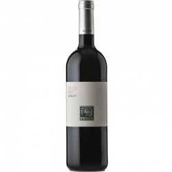 Merlot DOC Collio PIGHIN