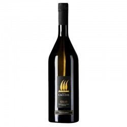 CACCESE FRIULANO COLLIO...