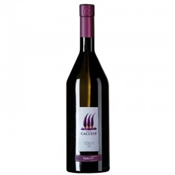CACCESE MERLOT COLLIO DOC...