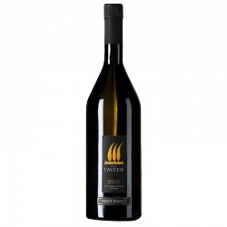 CACCESE PINOT BIANCO COLLIO...