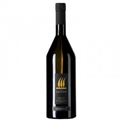 CACCESE SAUVIGNON COLLIO...