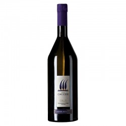 CACCESE TRAMINER COLLIO DOC...