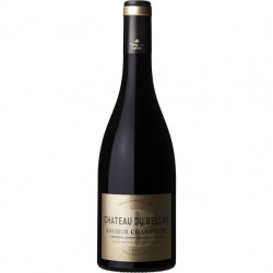Saumur Champigny Chateau du...