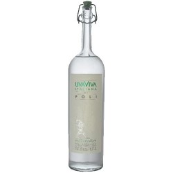 GRAPPA POLI UVA VIVA...