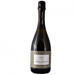 VINO SPUMANTE PINOT BRUT...