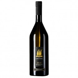 CACCESE FRIULANO COLLIO...