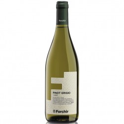 PINOT GRIGIO FORCHIR CL.75