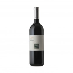 Cabernet DOC Collio PIGHIN