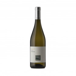 Malvasia DOC Collio PIGHIN