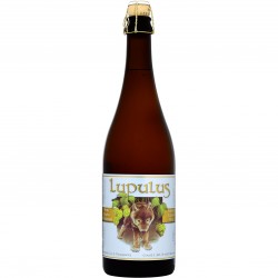 BIRRA LUPULUS 8.5% LT. 0,75