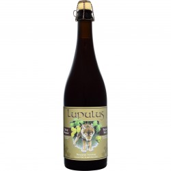 BIRRA LUPULUS BRUNE 8.5% 16...