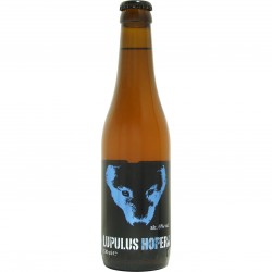 BIRRA LUPULUS HOPERA 6% 12...