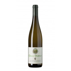 VINO  GRUNER VELTLINER...