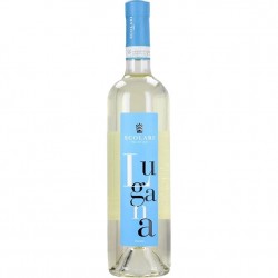 VINO LUGANA  SCOLARI CL.75...