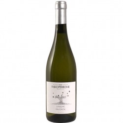 FABIO PERRONE LANGHE...