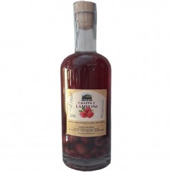 grappa lampone  cc.500...
