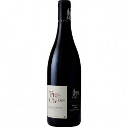 SAUMUR CHAMPIGNY TERRES...