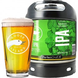 BIRRA GOOSE IPA  LT.6...