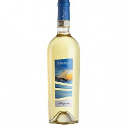 VERMENTINO DI GALLURA DOCG...