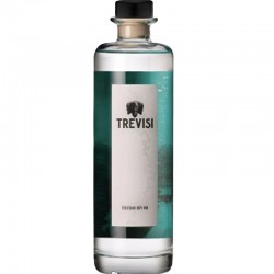 GIN TREVISI PREMIUM CL.70
