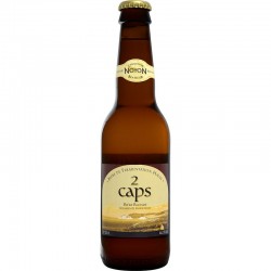BIRRA NOYON 2 CAPS 6% 14 PL...